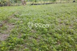 Lahan Investasi Lokasi Ngaglik Sleman SHM Lahan Investasi Lokasi Ngaglik Sleman SHM