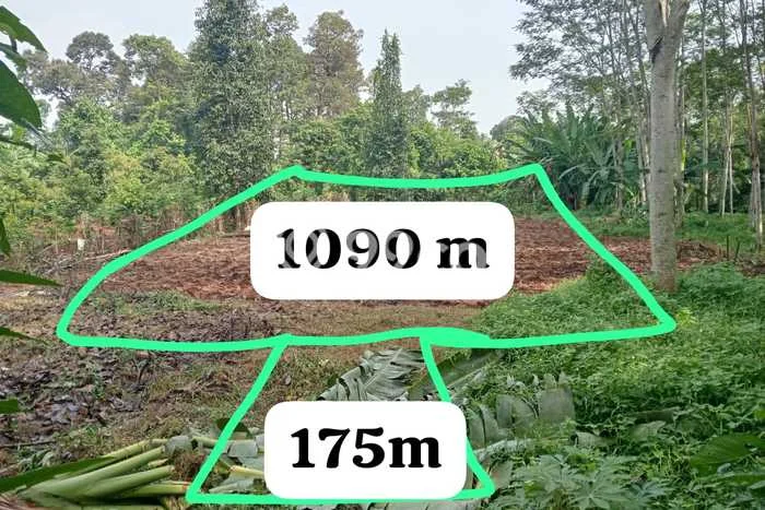 Lahan Kosong Dijual di Batang, Batang, Luas 1265m2 Area Strategis Lahan Kosong Dijual di Batang, Batang, Luas 1265m2 Area Strategis