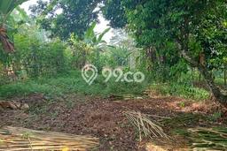 Lahan Kosong Dijual di Batang, Batang, Luas 1265m2 Area Strategis Lahan Kosong Dijual di Batang, Batang, Luas 1265m2 Area Strategis