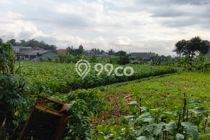 Kavling Tanah Dijual di Cibinong, Bogor, Luas 1695m2 Area Strategis Kavling Tanah Dijual di Cibinong, Bogor, Luas 1695m2 Area Strategis