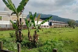 Tanah Dijual Lokasi Sumedang Selatan, Sumedang dengan Luas Tanah 7423m2 dan Status SHM Tanah Dijual Lokasi Sumedang Selatan, Sumedang dengan Luas Tanah 7423m2 dan Status SHM
