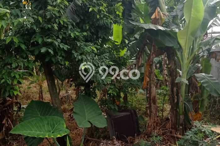 Tanah Kavling Dijual di Jakarta Timur dengan Spesifikasi 800m2 Tanah Kavling Dijual di Jakarta Timur dengan Spesifikasi 800m2
