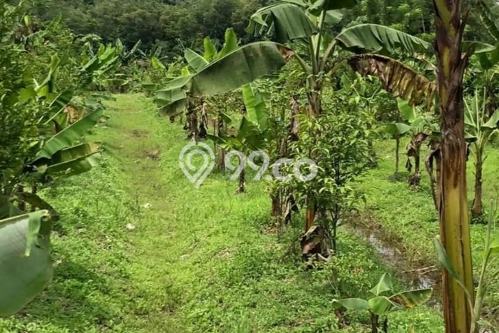 For Sale Tanah Kawasan Parung, Luas 3044m², Akses Parung, Bogor, Bogor For Sale Tanah Kawasan Parung, Luas 3044m², Akses Parung, Bogor, Bogor