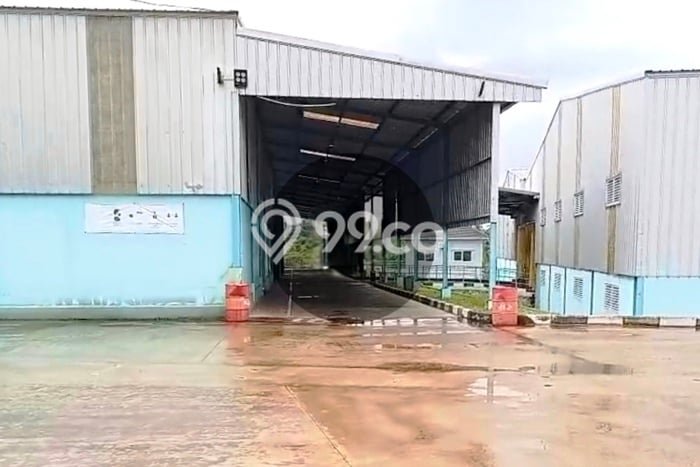 Disewakan Gudang di Rangkasbitung Lebak LT 33479m2, LB 10198m2 Disewakan Gudang di Rangkasbitung Lebak LT 33479m2, LB 10198m2