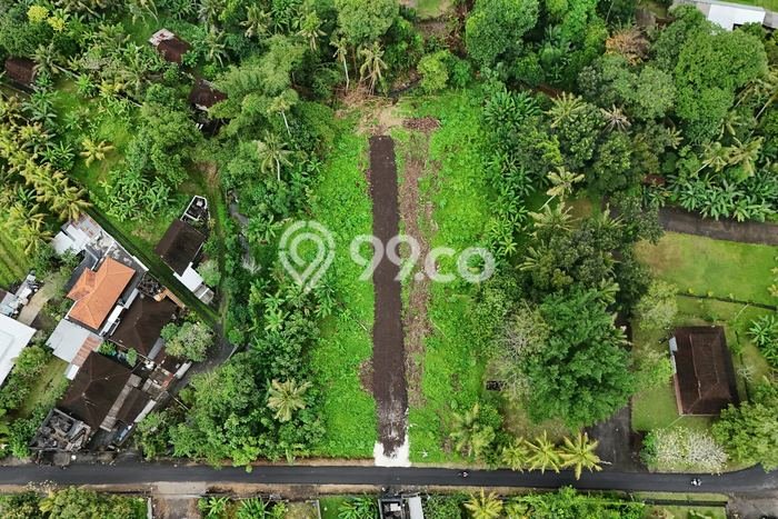 Tanah Kavling Dijual di canggu, Badung dengan Luas Tanah 135m2 Tanah Kavling Dijual di canggu, Badung dengan Luas Tanah 135m2
