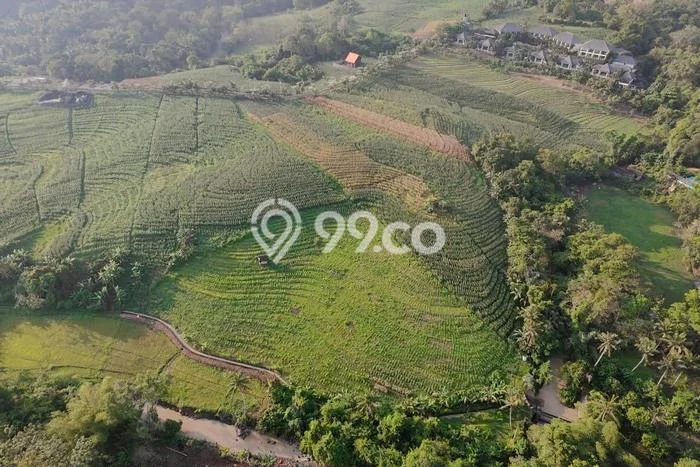 Tanah Dijual Lokasi Selemadeg Tabanan SHM Tanah Dijual Lokasi Selemadeg Tabanan SHM