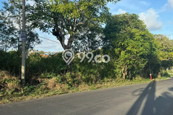 Tanah Dijual di Badung Seluas 800m2 Strategis Tanah Dijual di Badung Seluas 800m2 Strategis