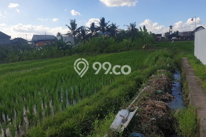Dijual Tanah Lokasi Munggu, Badung Seluas 3900m2 Dijual Tanah Lokasi Munggu, Badung Seluas 3900m2