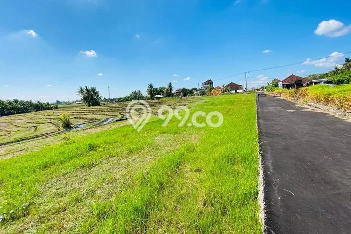 Untuk Dijual Tanah di Tabanan, Luas 3275m2 SHM Untuk Dijual Tanah di Tabanan, Luas 3275m2 SHM