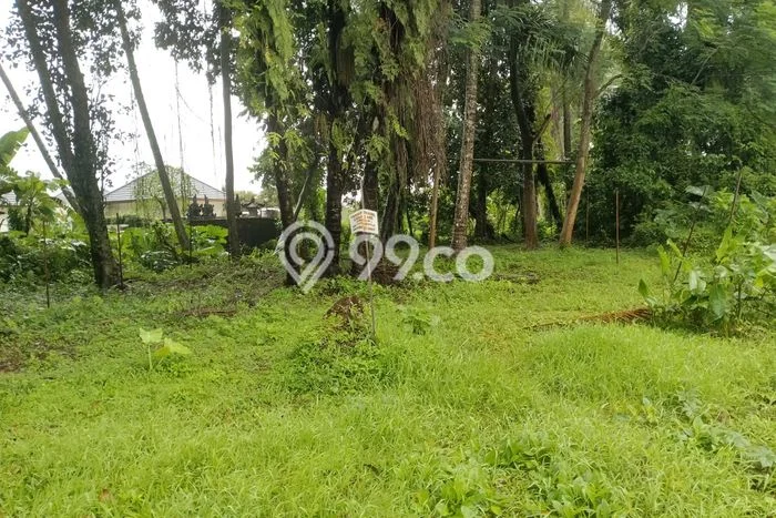 Kavling Tanah di Ubud Dijual Luas 300m2 Legalitas SHM Kavling Tanah di Ubud Dijual Luas 300m2 Legalitas SHM