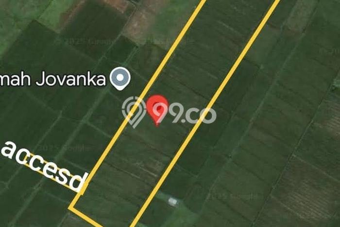 Tanah untuk Dijual di Kediri Tabanan Luas 5000m2 Tanah untuk Dijual di Kediri Tabanan Luas 5000m2