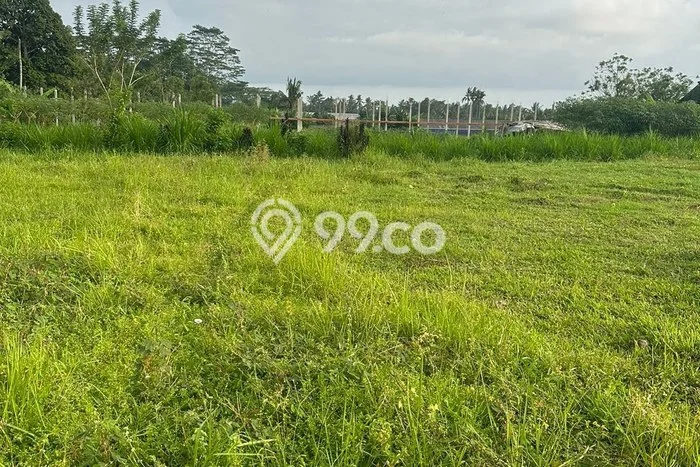Lahan Strategis di Kediri Dijual dengan Luas 1500m2 Lahan Strategis di Kediri Dijual dengan Luas 1500m2