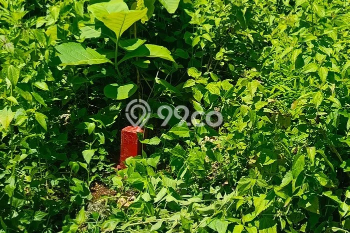 Kavling Tanah Dijual di Kuta Selatan, Badung, Luas 350m2 Area Strategis Kavling Tanah Dijual di Kuta Selatan, Badung, Luas 350m2 Area Strategis