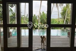 Siap Vila di Sukawati, Ukuran 428m2m², Area Asri Siap Vila di Sukawati, Ukuran 428m2m², Area Asri