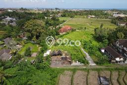 Tanah Dijual Area Strategis di Canggu Badung 137m2 Tanah Dijual Area Strategis di Canggu Badung 137m2