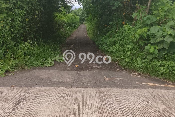 Tanah Kavling untuk Dijual di Negara Jembrana 5000m2 Tanah Kavling untuk Dijual di Negara Jembrana 5000m2