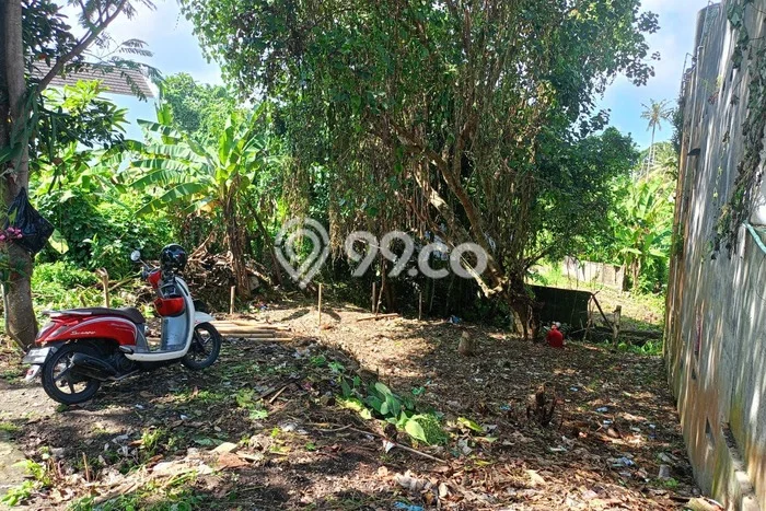 Tanah Dijual Area Strategis di Munggu Badung 200m2 Tanah Dijual Area Strategis di Munggu Badung 200m2