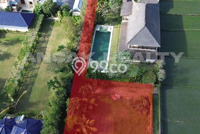 Tanah Dijual Lokasi Kediri, Tabanan Luas 3465m2 Legalitas Aman Tanah Dijual Lokasi Kediri, Tabanan Luas 3465m2 Legalitas Aman