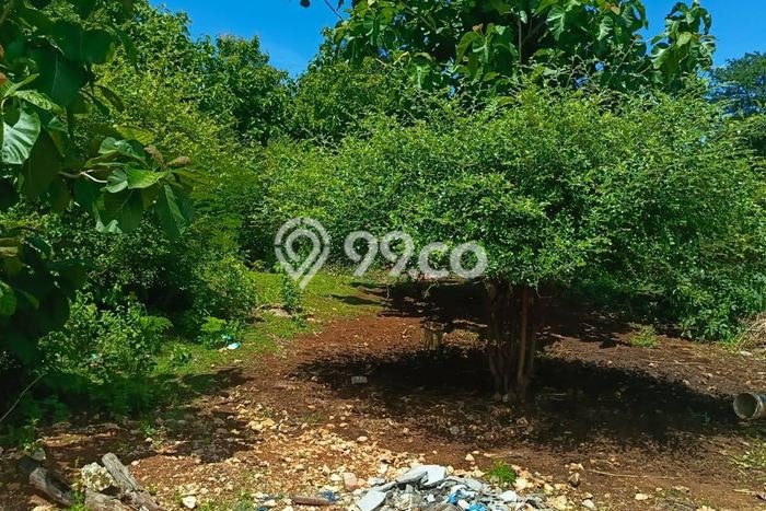Kavling Tanah Dijual di Kuta Selatan Badung Spesifikasi 350m2 Kavling Tanah Dijual di Kuta Selatan Badung Spesifikasi 350m2