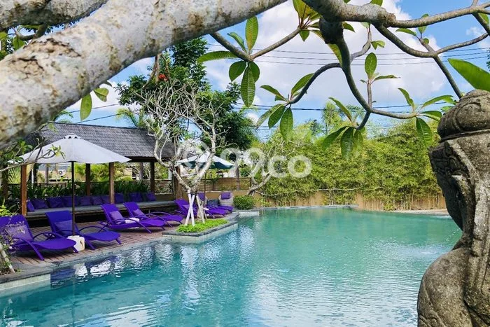 Rumah Modern 2 KT di Nusa Dua Badung Unfurnished Rumah Modern 2 KT di Nusa Dua Badung Unfurnished