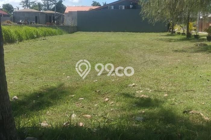 Tanah di Ubud, Gianyar Luas 568m2 Dijual Segera Tanah di Ubud, Gianyar Luas 568m2 Dijual Segera