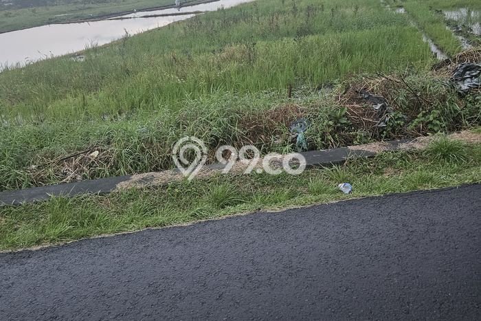 Tanah Dijual di Tabanan Seluas 3450m2 Strategis Tanah Dijual di Tabanan Seluas 3450m2 Strategis