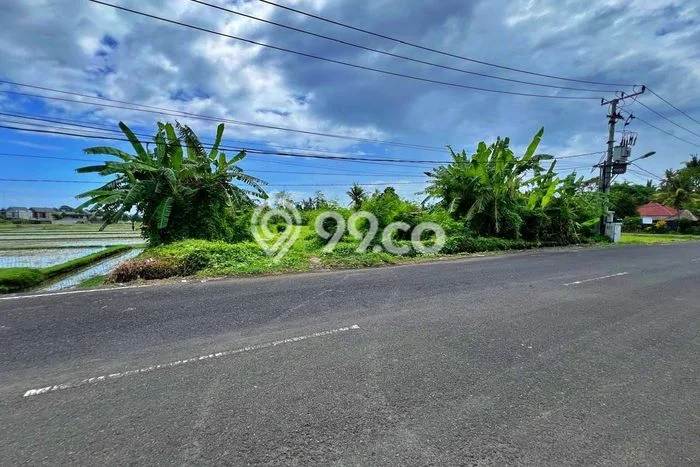 Tanah Kosong Dijual di Denpasar dengan Area 1446m2 Tanah Kosong Dijual di Denpasar dengan Area 1446m2