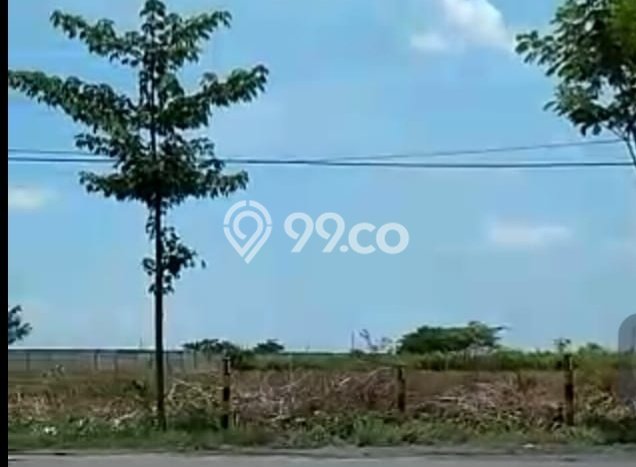 Jarang Ada! Tanah di Widang Punya Luas 40000m2 SHM Jarang Ada! Tanah di Widang Punya Luas 40000m2 SHM