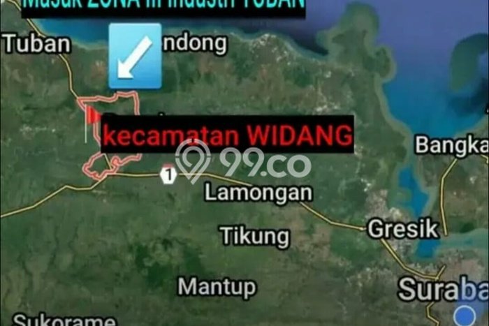 Jarang Ada! Tanah di Widang Punya Luas 40000m2 SHM Jarang Ada! Tanah di Widang Punya Luas 40000m2 SHM