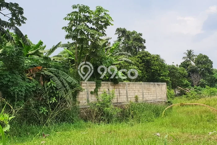 Kavling Tanah Dijual di Pancoran Mas Depok Spesifikasi 1800m2 Kavling Tanah Dijual di Pancoran Mas Depok Spesifikasi 1800m2
