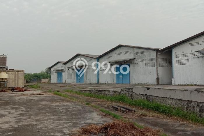 Area Strategis! Disewakan Gudang Lokasi Karawang Timur, Karawang Cocok untuk Bisnis Area Strategis! Disewakan Gudang Lokasi Karawang Timur, Karawang Cocok untuk Bisnis