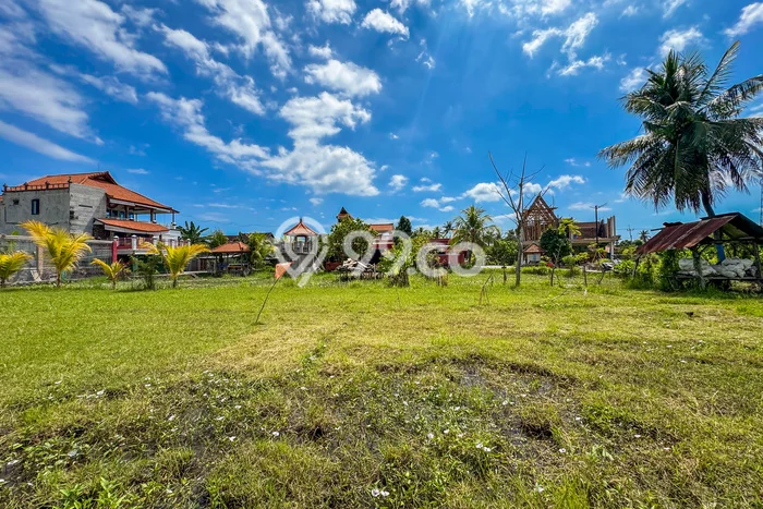 Tanah Kavling Dijual di Buleleng dengan Spesifikasi 1200m2 Tanah Kavling Dijual di Buleleng dengan Spesifikasi 1200m2
