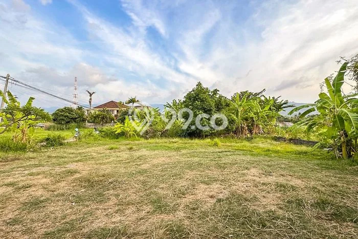 Dijual Tanah 400m2 di Lovina, Buleleng Dijual Tanah 400m2 di Lovina, Buleleng