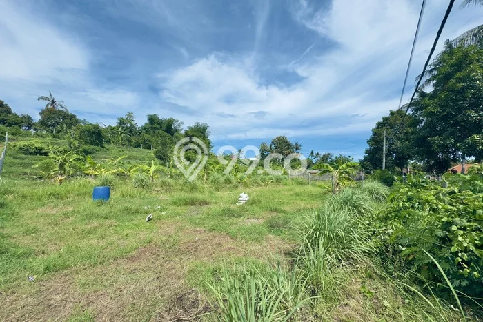 Lahan Kosong Dijual di Buleleng dengan Area 1600m2 Lahan Kosong Dijual di Buleleng dengan Area 1600m2
