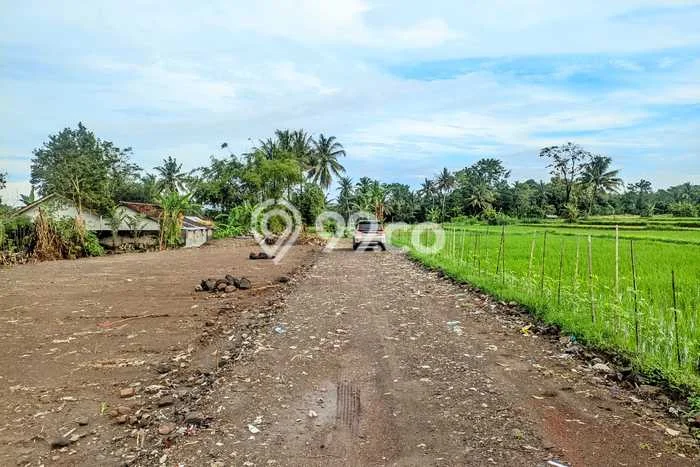 Kavling Tanah di Sleman Dijual Luas 139m2 Legalitas SHM Kavling Tanah di Sleman Dijual Luas 139m2 Legalitas SHM