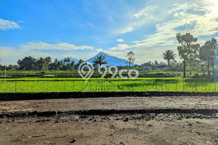 Kavling Tanah di Sleman Dijual Luas 139m2 Legalitas SHM Kavling Tanah di Sleman Dijual Luas 139m2 Legalitas SHM