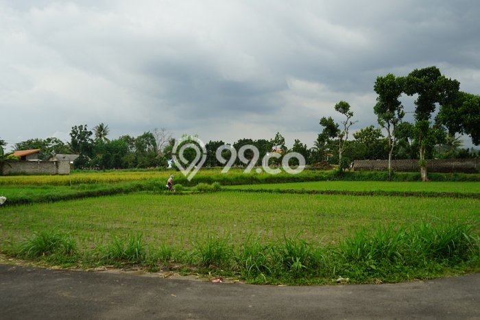 Tanah Strategis Dijual di Kalasan Sleman 120m2 Tanah Strategis Dijual di Kalasan Sleman 120m2