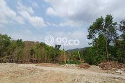 Untuk Dijual Tanah di Banguntapan Bantul Luas 125m2 SHM Untuk Dijual Tanah di Banguntapan Bantul Luas 125m2 SHM
