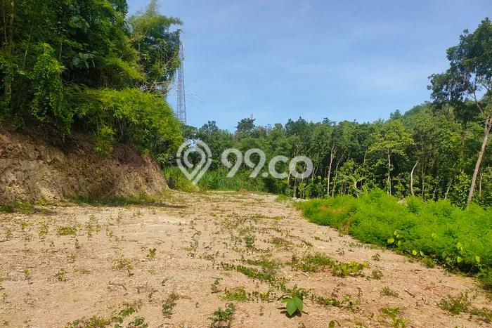 Tanah Komersial Dijual di Umbulharjo Yogyakarta 125m2 Tanah Komersial Dijual di Umbulharjo Yogyakarta 125m2