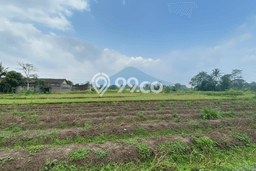 Dijual Tanah Lokasi Sleman, Yogyakarta Seluas 103m2 Dijual Tanah Lokasi Sleman, Yogyakarta Seluas 103m2