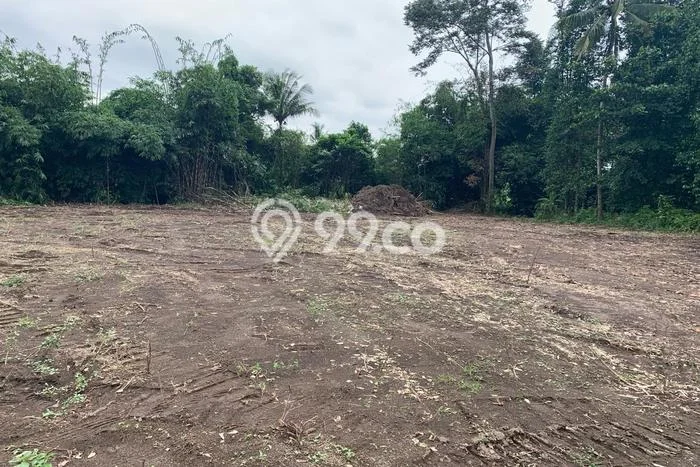 Tanah Strategis Dijual di Kalasan Sleman 121m2 Tanah Strategis Dijual di Kalasan Sleman 121m2