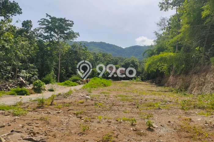 Tanah Komersial Dijual di Umbulharjo Yogyakarta 125m2 Tanah Komersial Dijual di Umbulharjo Yogyakarta 125m2