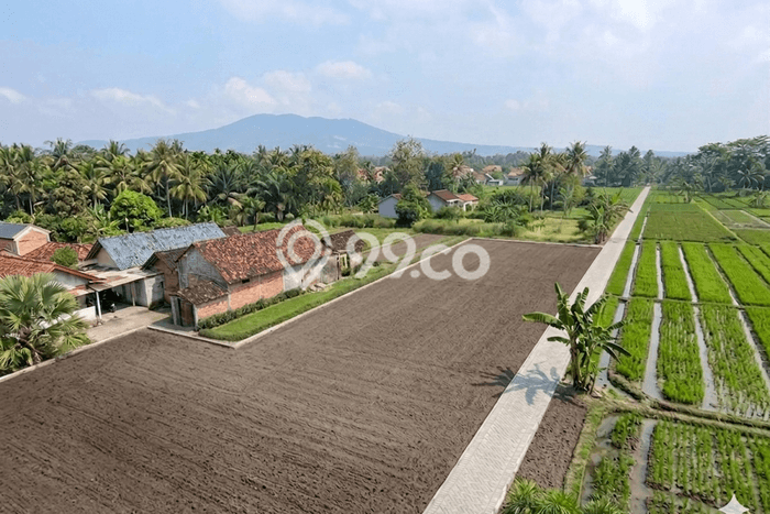 Tanah Dijual Area Strategis di Sleman Yogyakarta 139m2 Tanah Dijual Area Strategis di Sleman Yogyakarta 139m2