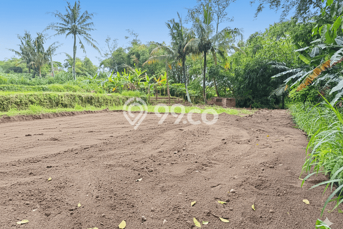 Tanah Kavling untuk Dijual di Sleman Sleman 100m2 Tanah Kavling untuk Dijual di Sleman Sleman 100m2