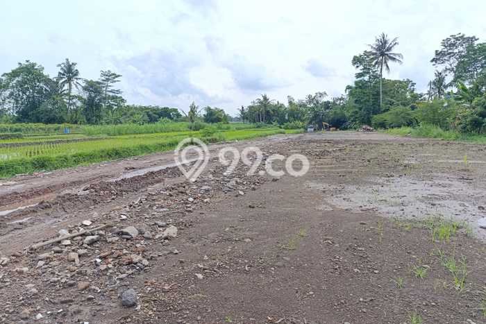 Tanah di Sleman, Sleman Luas 100m2 Dijual Segera Tanah di Sleman, Sleman Luas 100m2 Dijual Segera