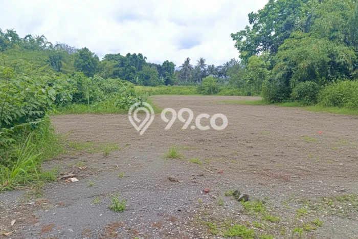 Untuk Dijual Tanah di Pakem Sleman Luas 250m2 PPJB Untuk Dijual Tanah di Pakem Sleman Luas 250m2 PPJB