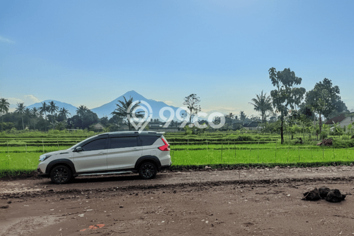 Lahan untuk Dijual Lokasi Sleman, Sleman Luas 139m2 SHM Lahan untuk Dijual Lokasi Sleman, Sleman Luas 139m2 SHM