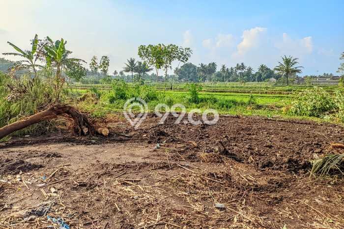 Kavling Tanah Dijual di Sleman Sleman Spesifikasi 139m2 Kavling Tanah Dijual di Sleman Sleman Spesifikasi 139m2