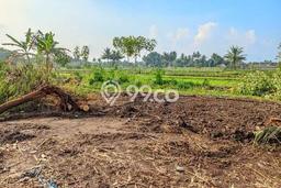 Kavling Tanah Dijual di Sleman Sleman Spesifikasi 139m2 Kavling Tanah Dijual di Sleman Sleman Spesifikasi 139m2