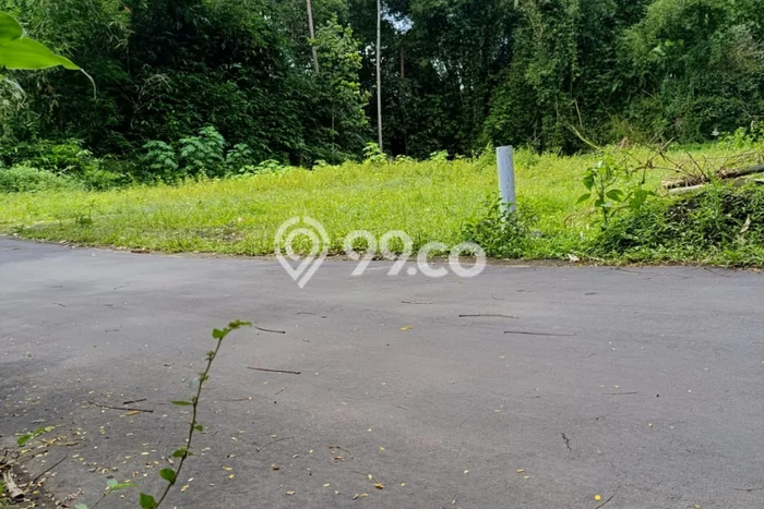 Tanah Dijual Lokasi Sleman Sleman PPJB Tanah Dijual Lokasi Sleman Sleman PPJB